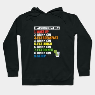 My Perfect Day Drink Gin Funny Gin Lover Gift Ideas Hoodie